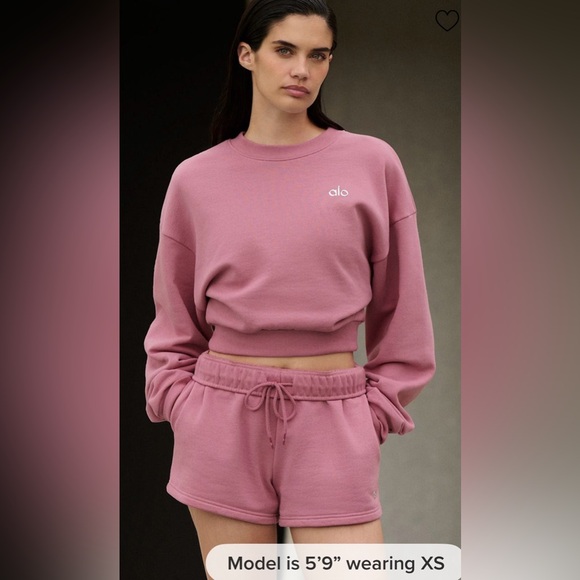 Alo Yoga NWT Cropped Accolade Crewneck Pink Wild Rose Size S